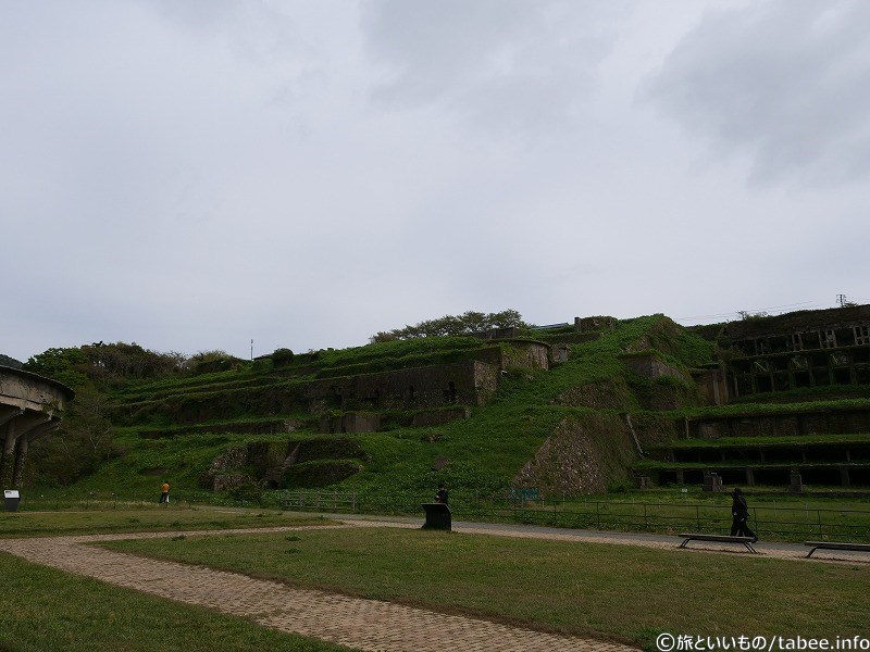 緑激しい…斜面の様子をもう少しはっきり見たかった