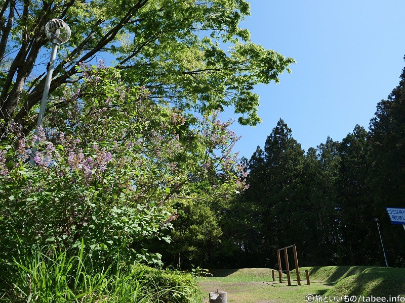 長閑な公園でした