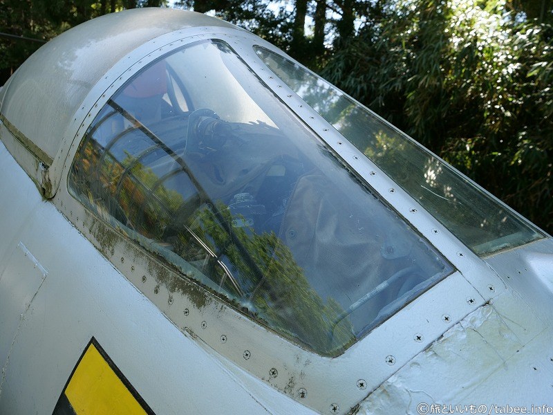 反射が強いですね