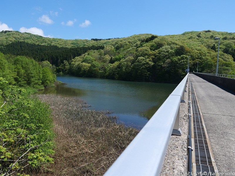 山の木々もバラエティに富んでいます