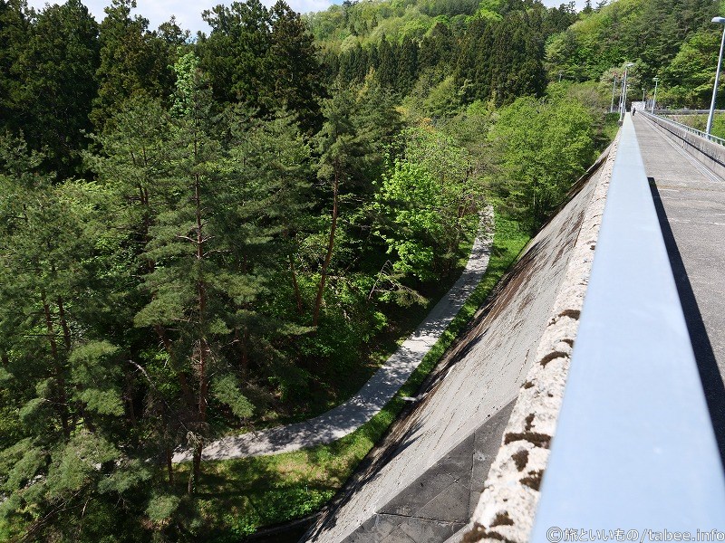 天端と下流の道