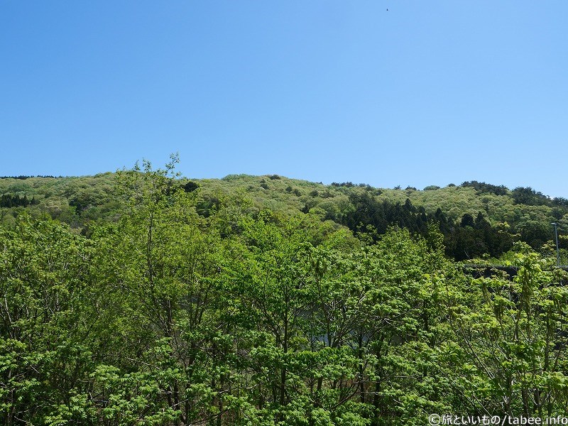 見てよ！この山！