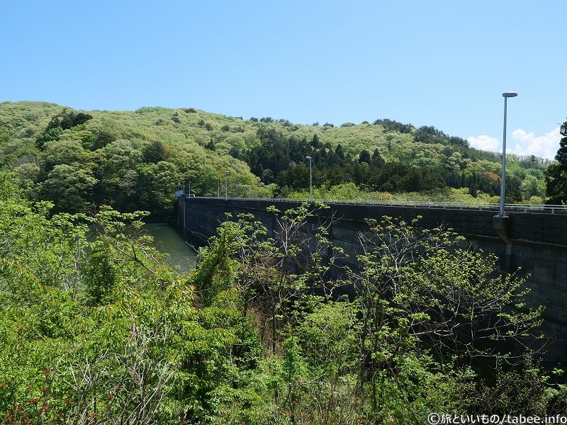 上流側から見た堤体