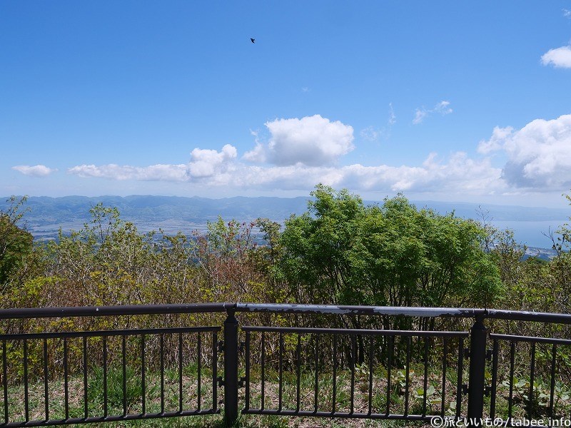 手前がちょっともふもふしてました