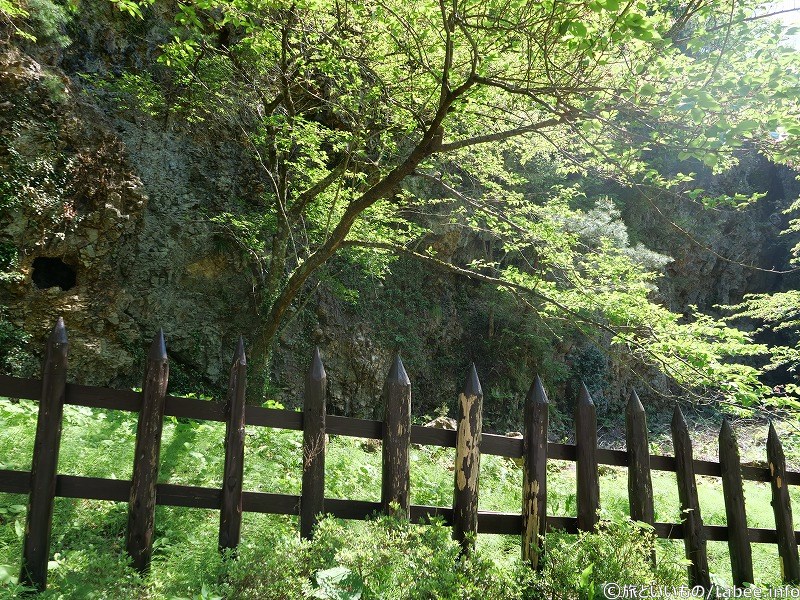 手掘り跡の狸穴が見えます