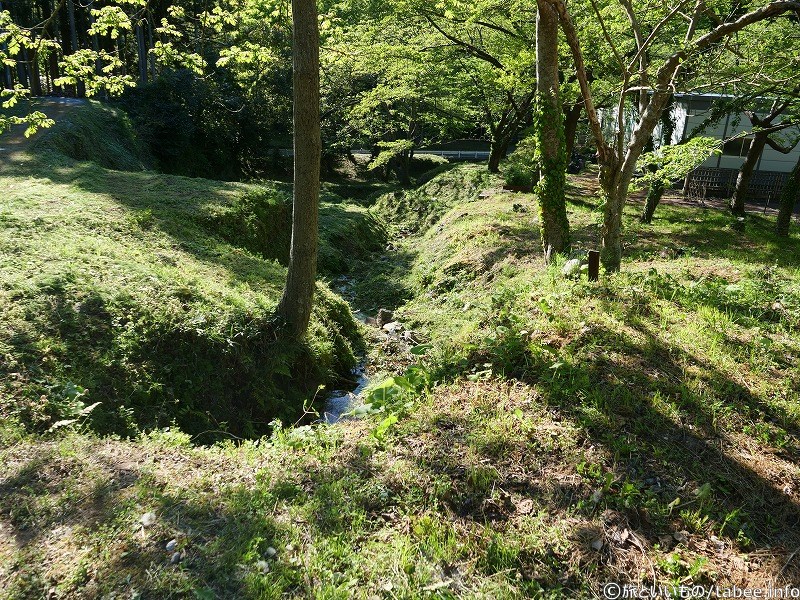 緑の地面を歩きます