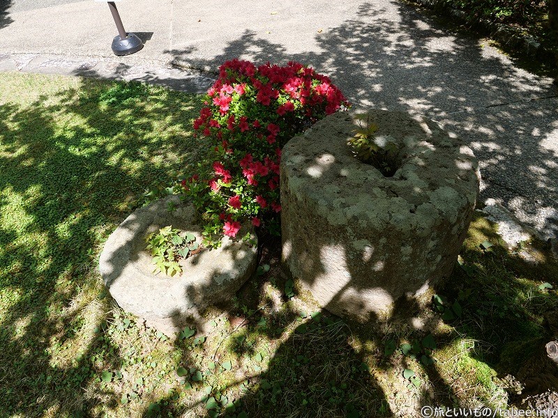 植木鉢のようになっています