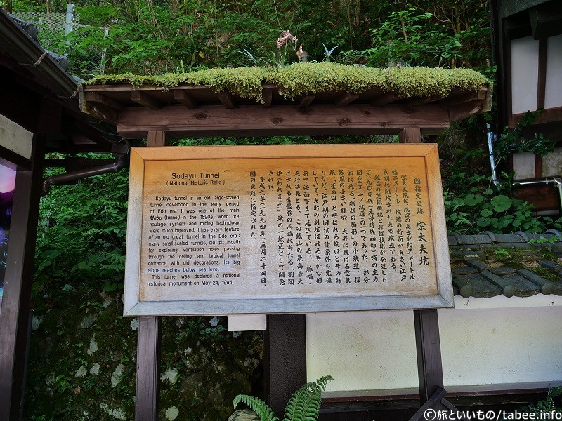 屋根の緑がもふもふかわいいです
