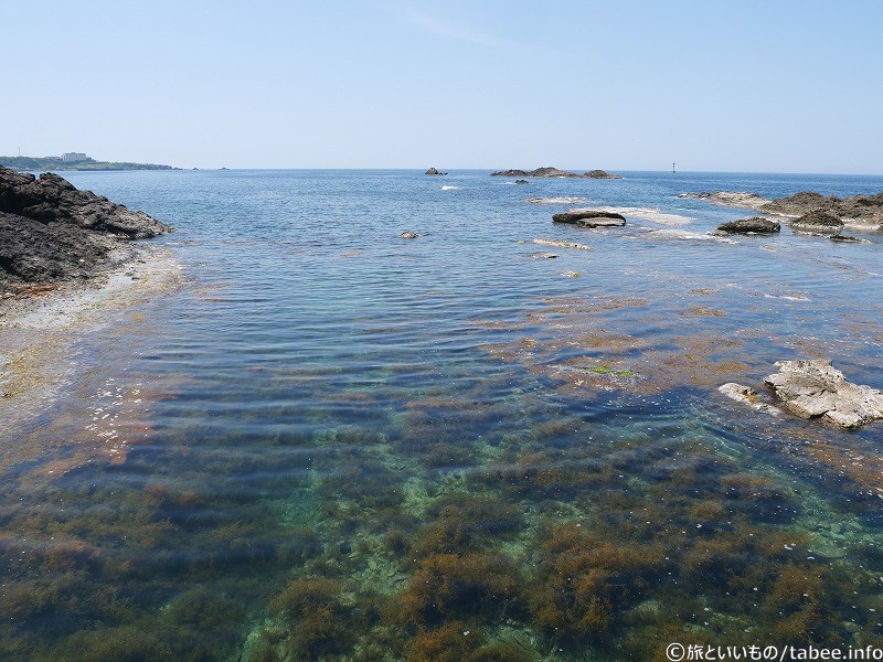橋から眺めた景色①海がきれい