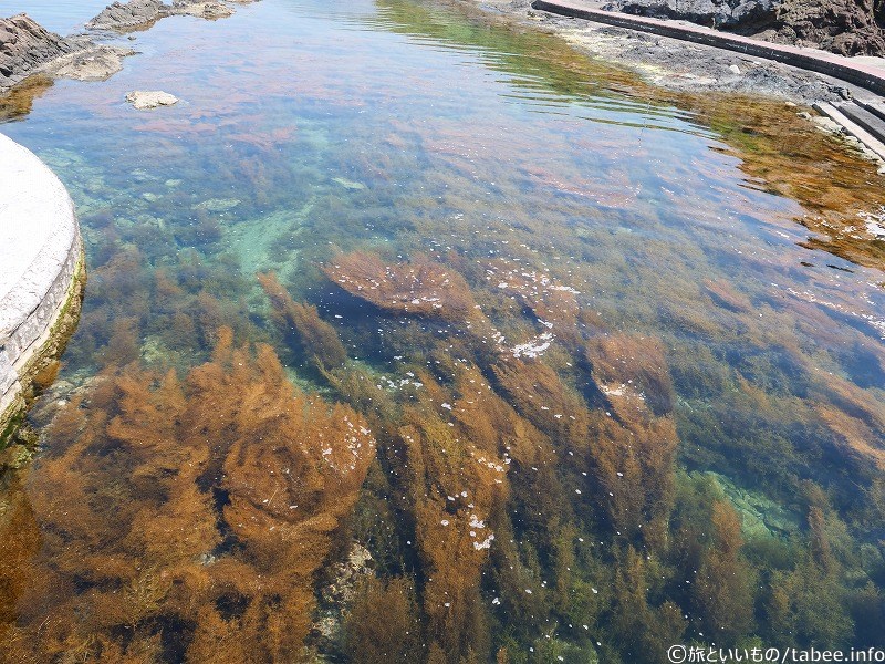 橋から眺めた景色③海がきれい
