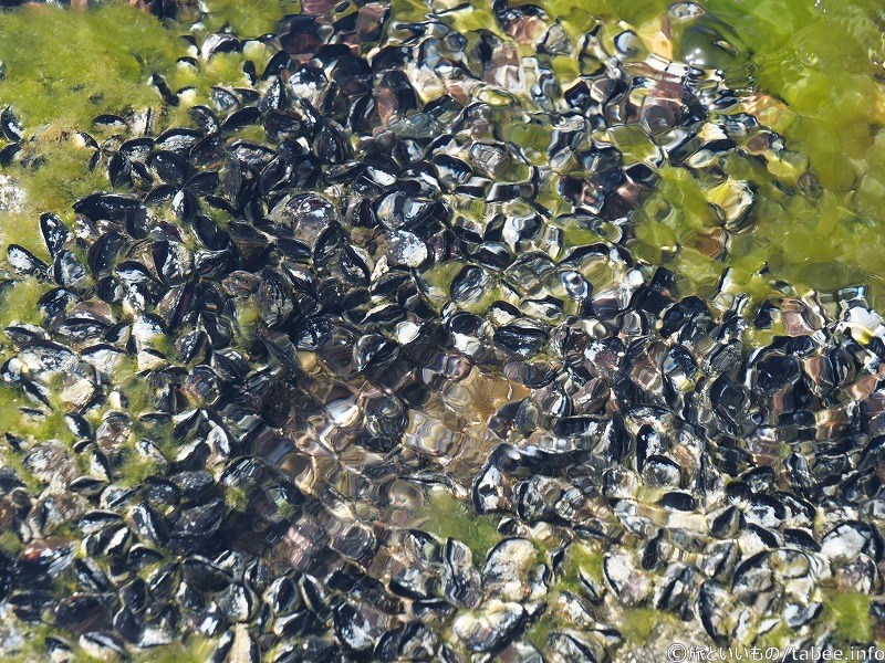水の流れのせいで画像を加工したように見えますが、加工していません