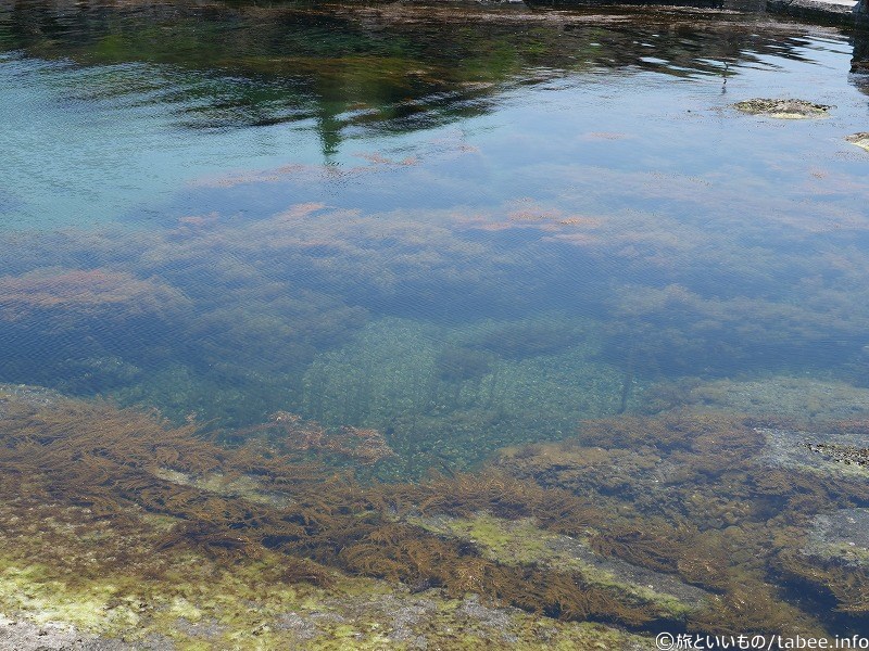 穏やかな水面