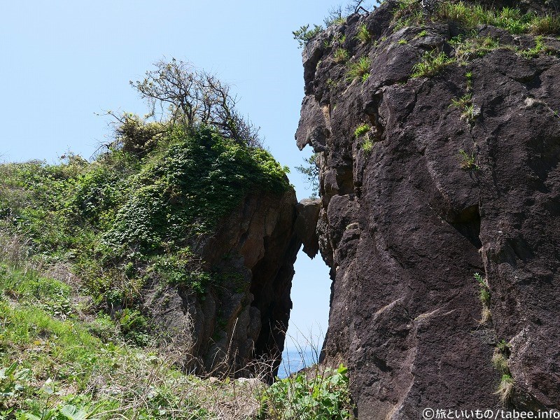 見えてきましたよ